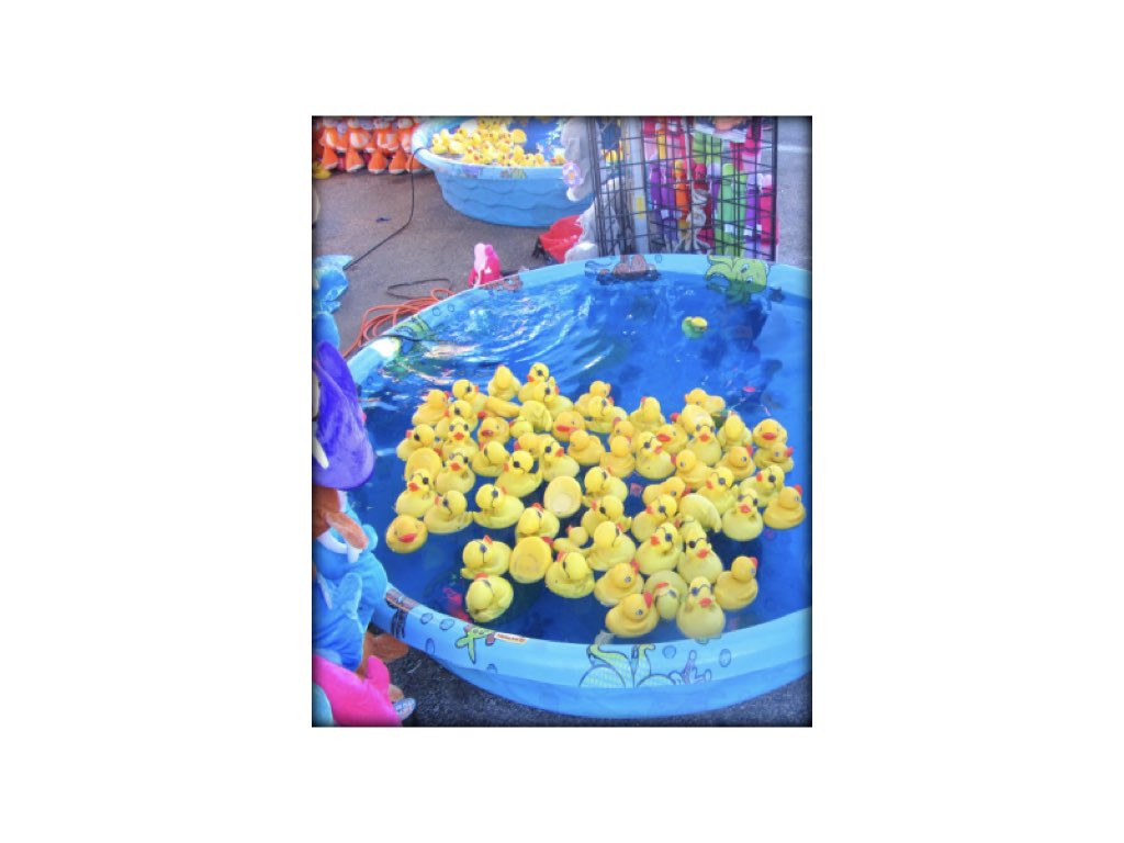 Duck Pond Image