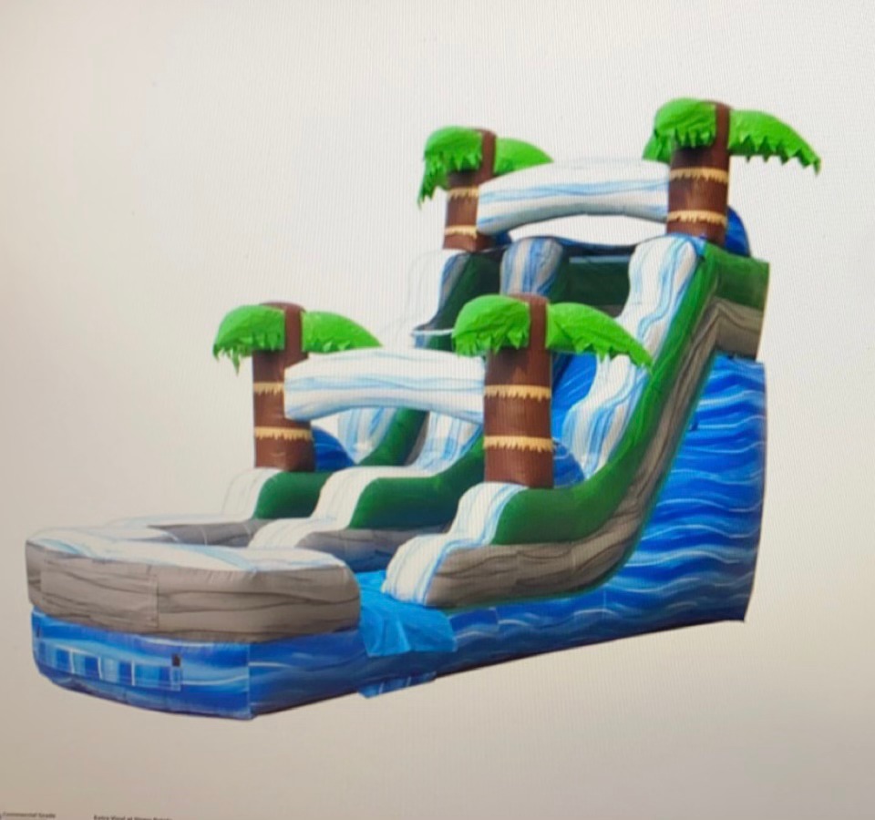 Palm Tree Plunge Water Slide Image